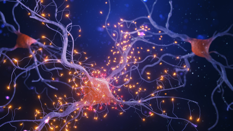 3d Rendering Of Neuron Cells With Light Pulses On A Dark Background.