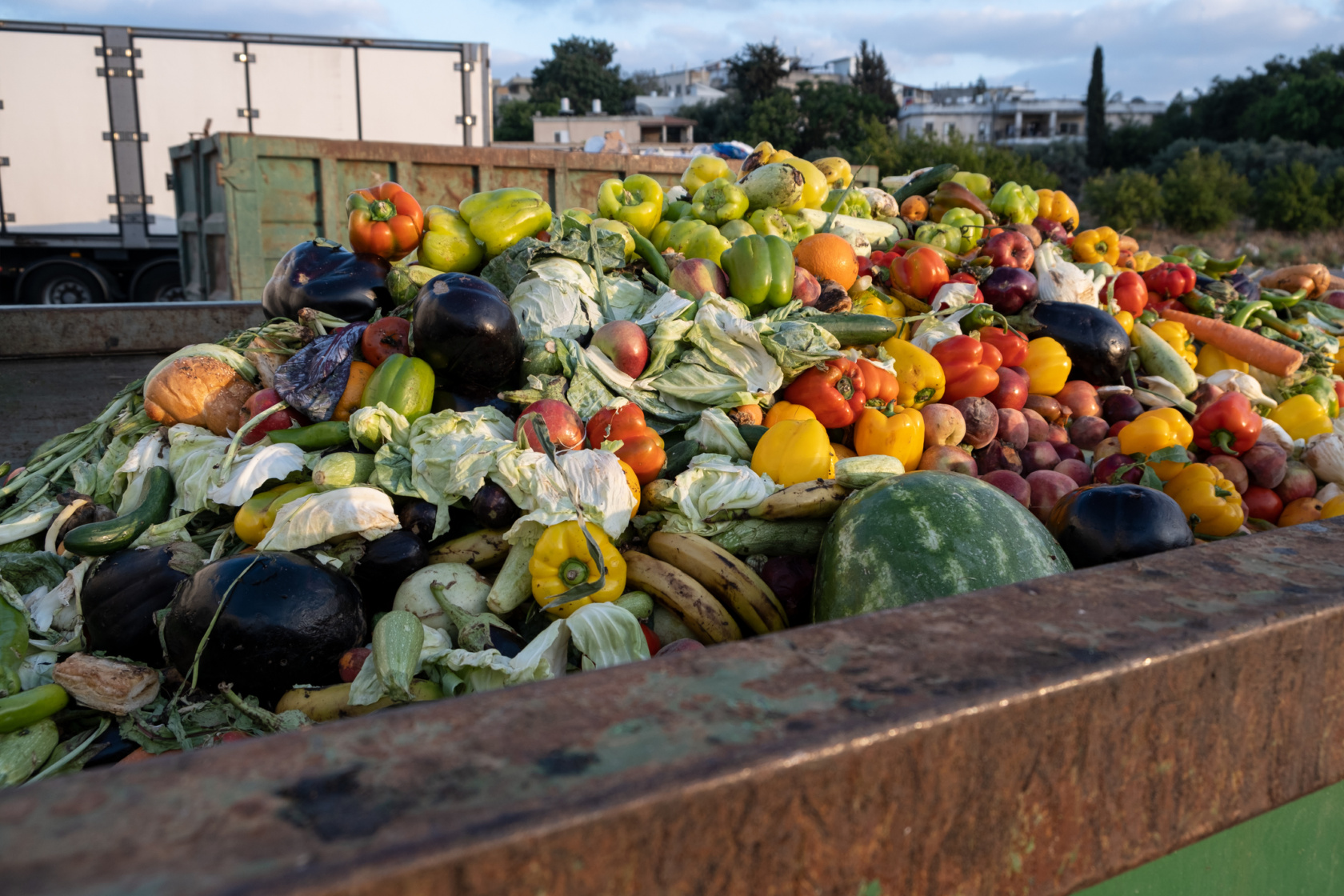 Bio Waste Of Expired Vegetables In A Huge Container, Organic Mix In A Rubbish Bin. Heap Of Compost From Vegetables Or Food For Animals.