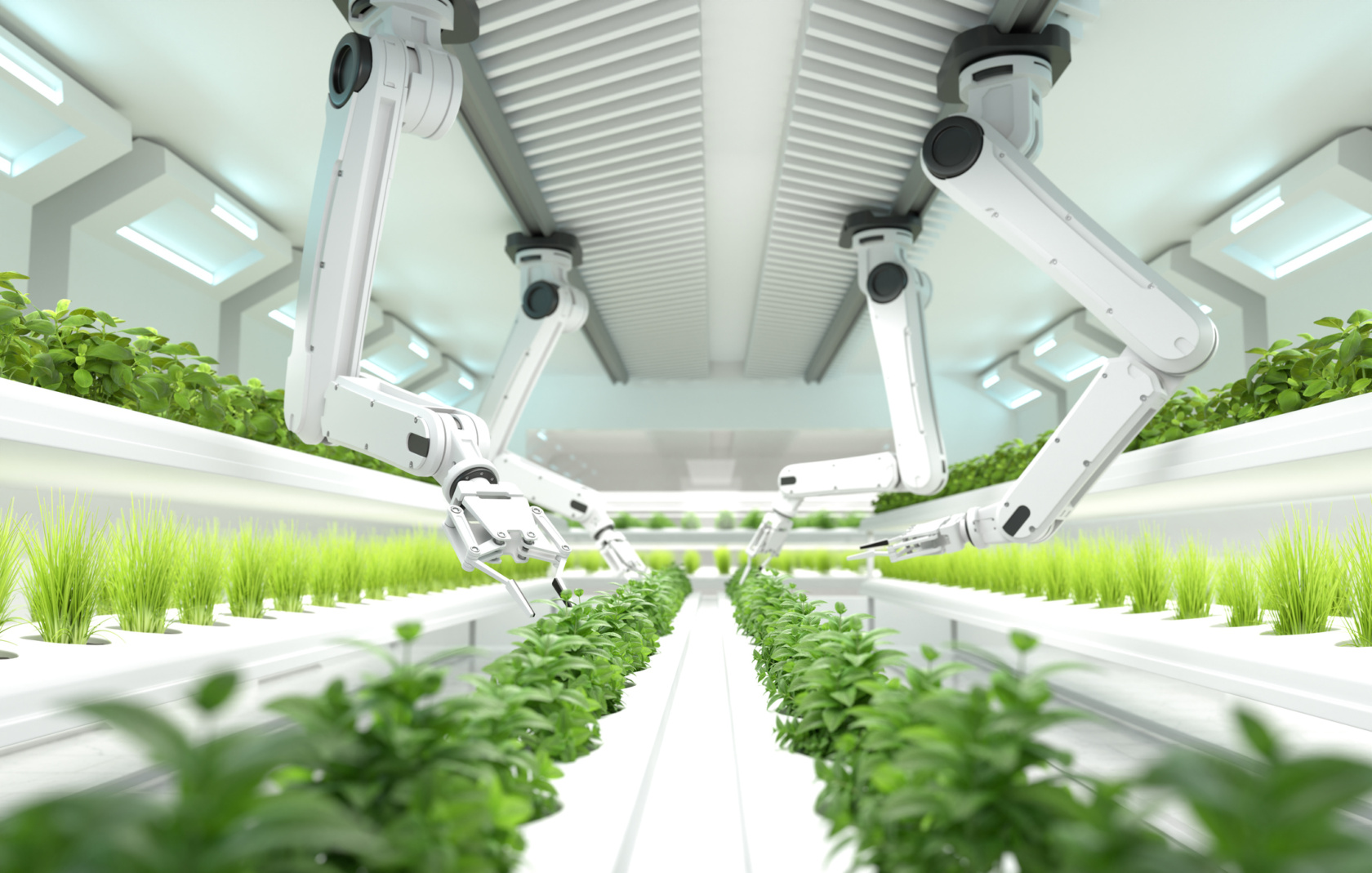 Smart Robotic Farmers Concept, Robot Farmers, Agriculture Technology, Farm Automation. 3D Illustration